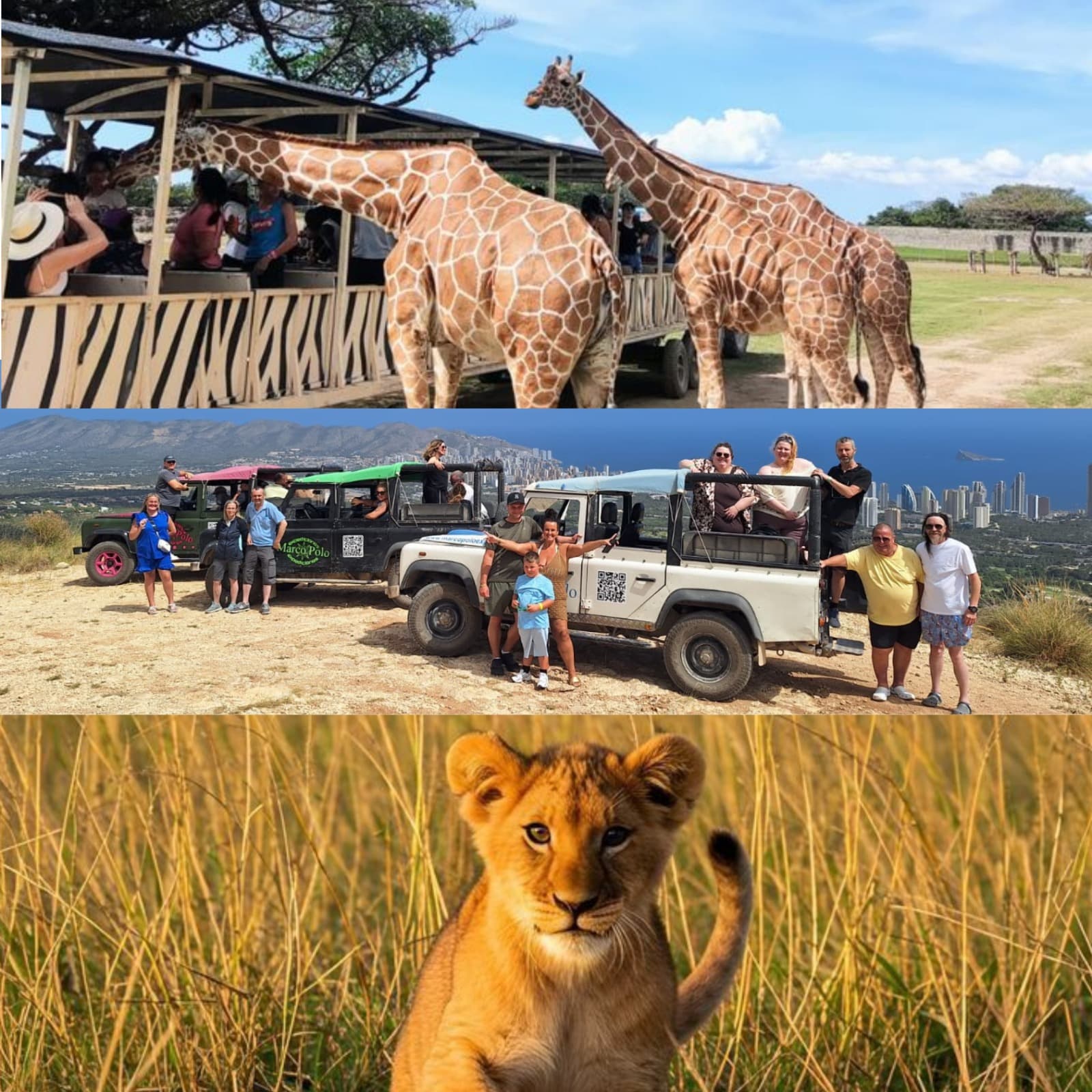 Jeep Safari - Full Day Aitana Park